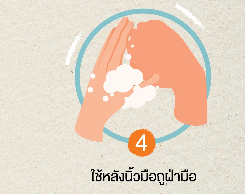 เทคนิคล้างมือให้ห่างไกล-ไวรัสโควิด-19 thai-herbs.thdata.co | เทคนิคล้างมือให้ห่างไกล-ไวรัสโควิด-19 สรรพคุณ สมุนไพร ไทย 